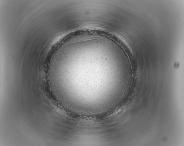 X0000091470823200709061816