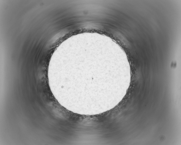 X0000091470824200709061816