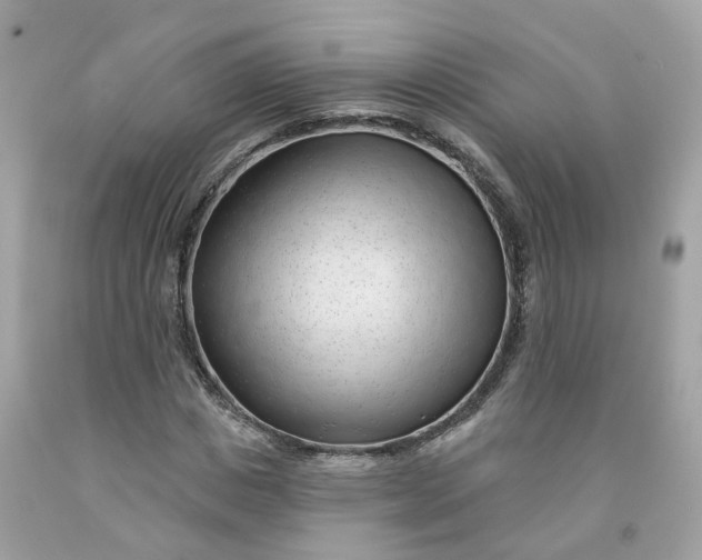 X0000091470825200709061816