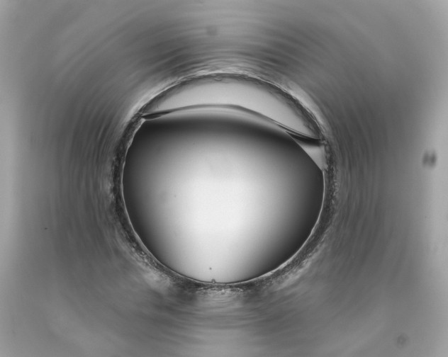 X0000091470826200709061816