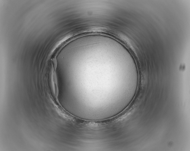 X0000091470827200709061816