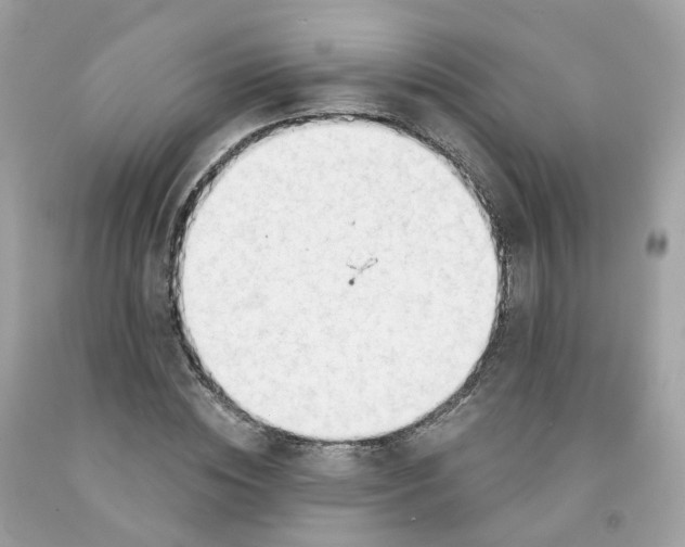 X0000091470828200709061816