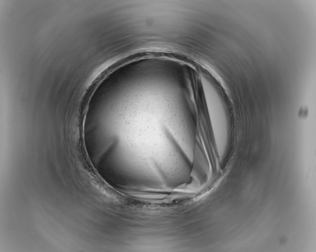 X0000091470829200709061816