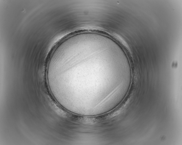 X0000091470831200709061816