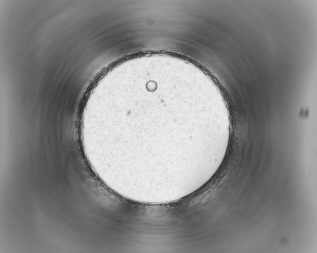 X0000091470832200709061816