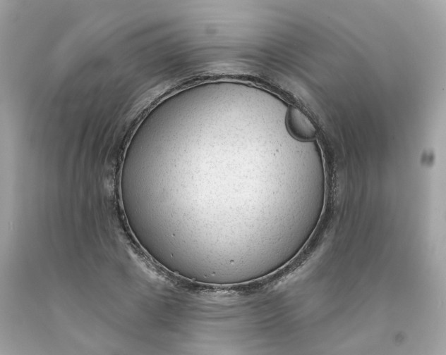 X0000091470833200709061816