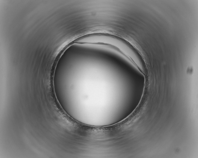 X0000091470834200709061816