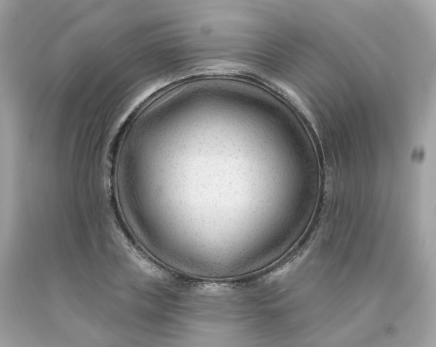 X0000091470835200709061816