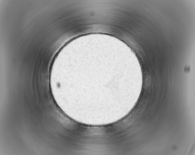 X0000091470836200709061816