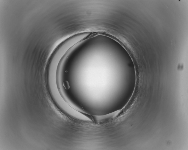 X0000091470838200709061816