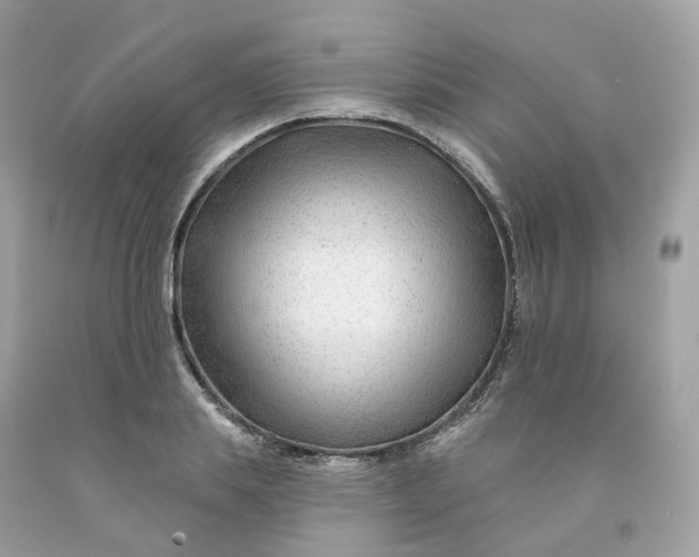 X0000091470839200709061816