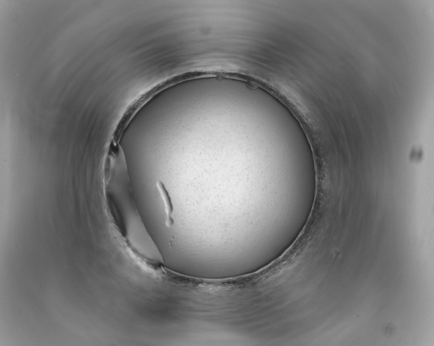 X0000091470840200709061816