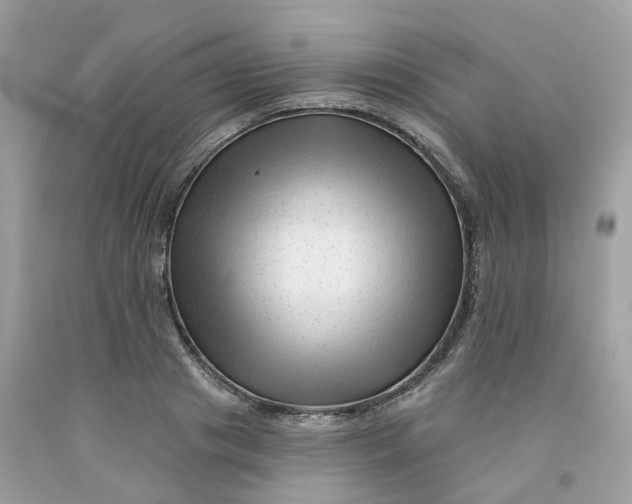 X0000091470841200709061816