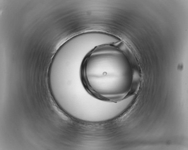 X0000091470842200709061816