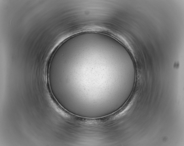 X0000091470843200709061817