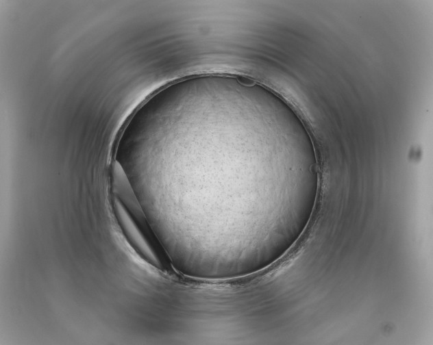 X0000091470844200709061817