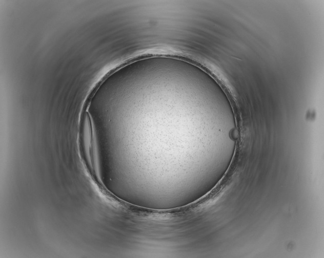 X0000091470845200709061817