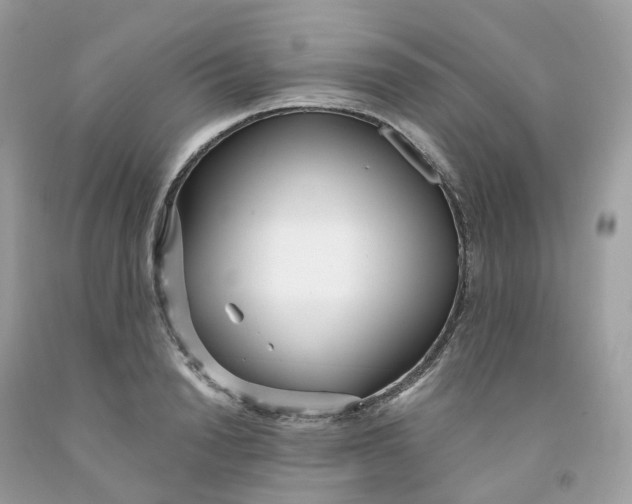 X0000091470846200709061817