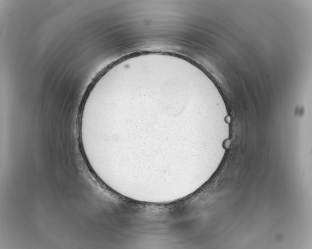 X0000091470848200709061817