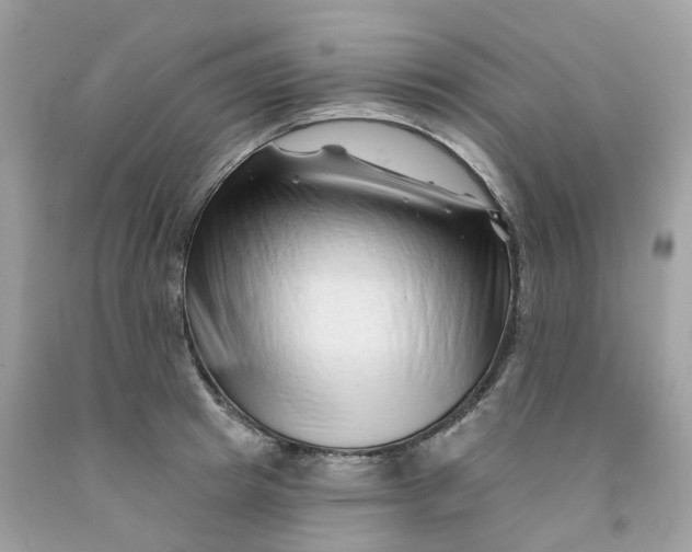 X0000091470849200709061817