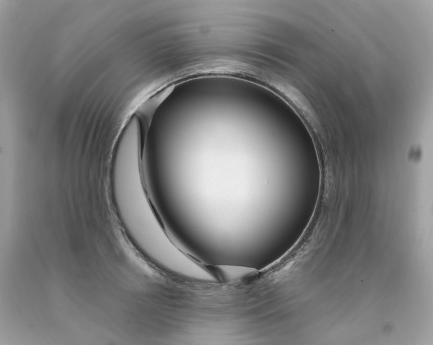 X0000091470850200709061817