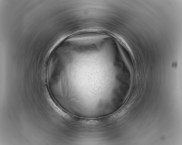 X0000091470851200709061817