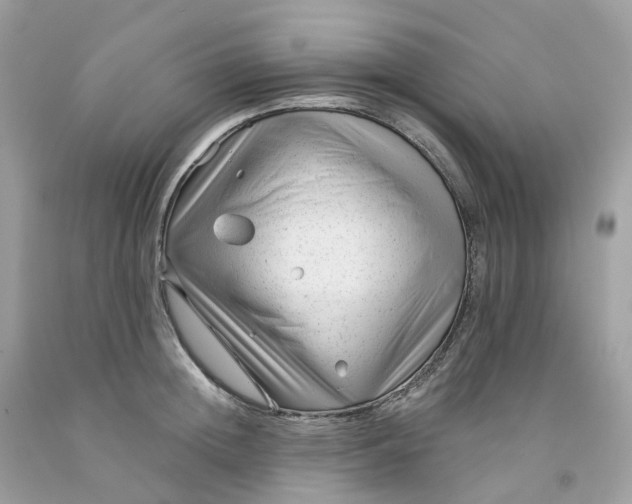 X0000091470852200709061817