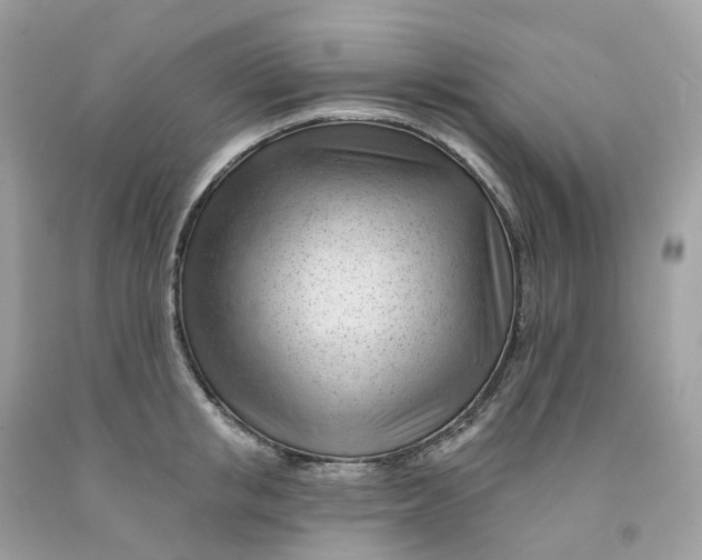 X0000091470853200709061817