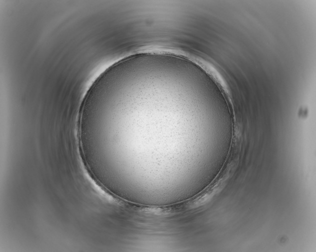 X0000091470855200709061817