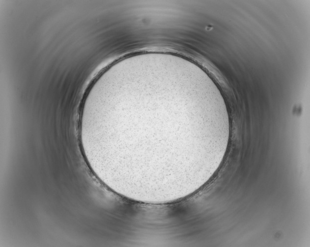 X0000091470856200709061817