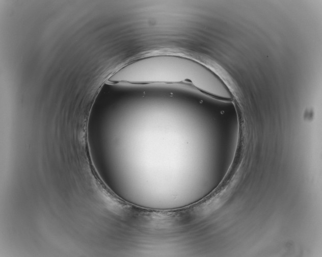 X0000091470857200709061817