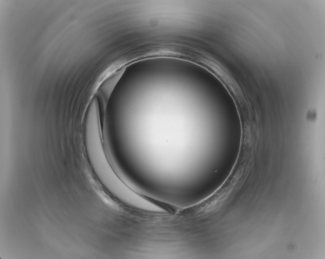 X0000091470858200709061817