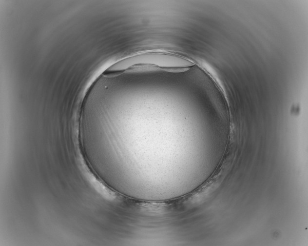 X0000091470859200709061817