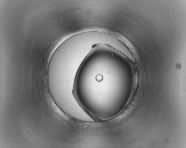 X0000091470860200709061817