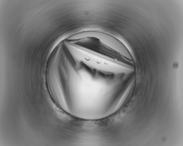 X0000091470861200709061817