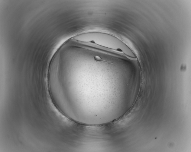 X0000091470863200709061817