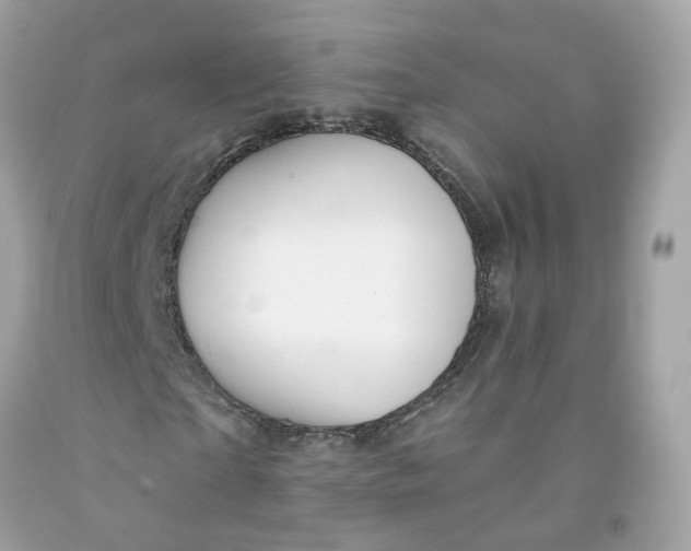 X0000091470865200709061816