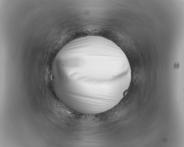 X0000091470866200709061816