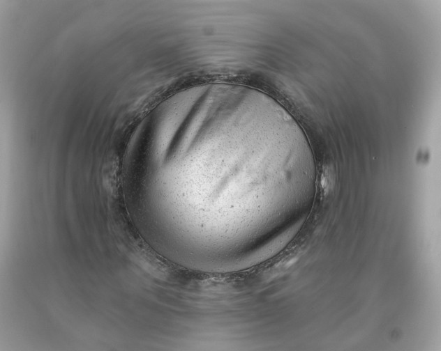 X0000091470867200709061816