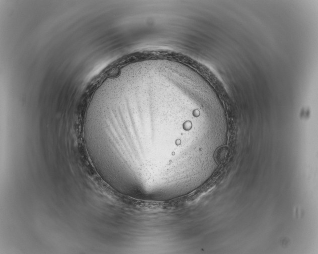 X0000091470871200709061816