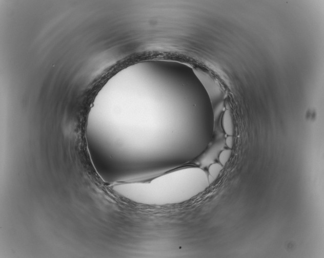 X0000091470872200709061816