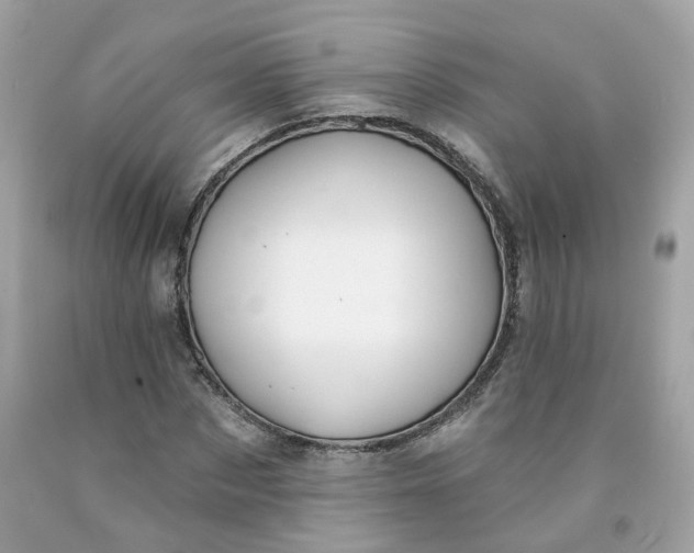 X0000091470873200709061816