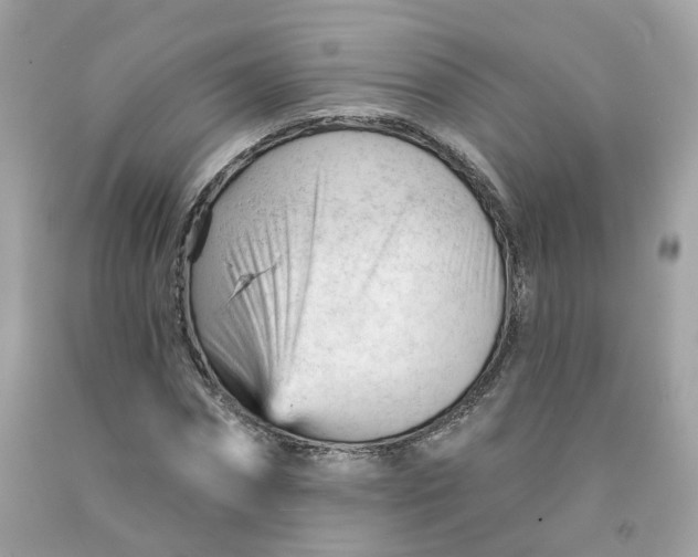 X0000091470874200709061816