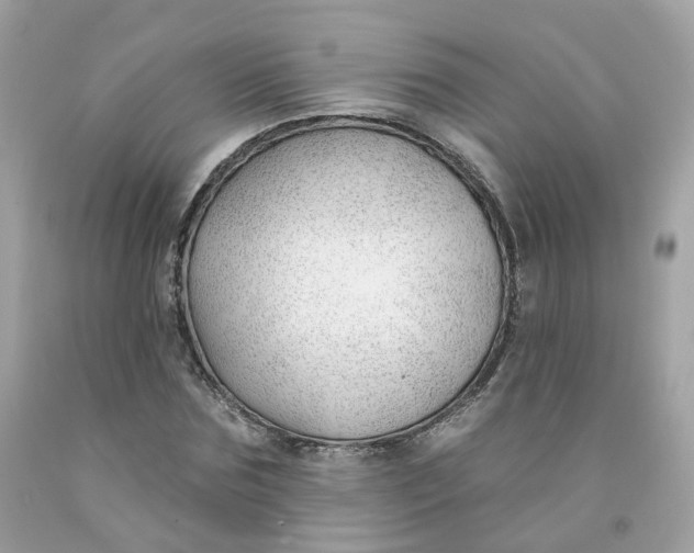 X0000091470875200709061816