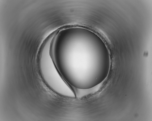 X0000091470876200709061816