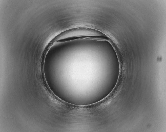 X0000091470877200709061816