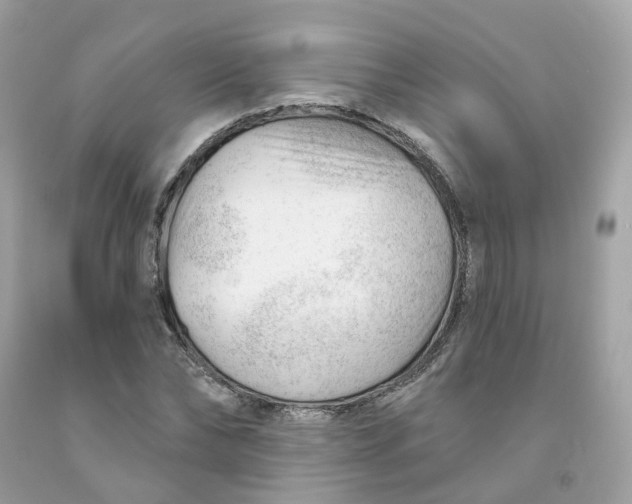 X0000091470878200709061816