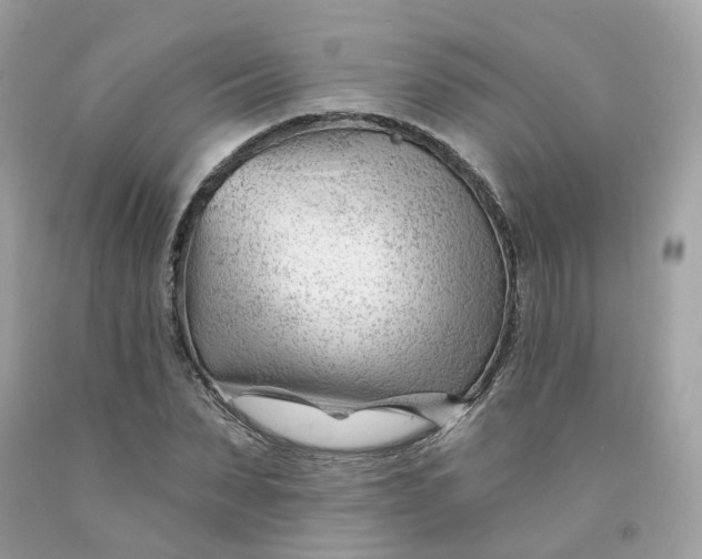 X0000091470879200709061816