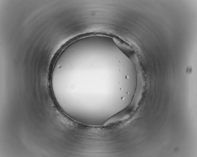 X0000091470880200709061816