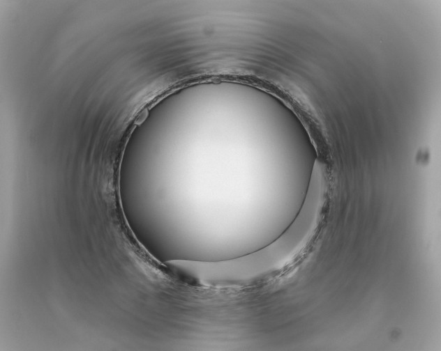 X0000091470881200709061816